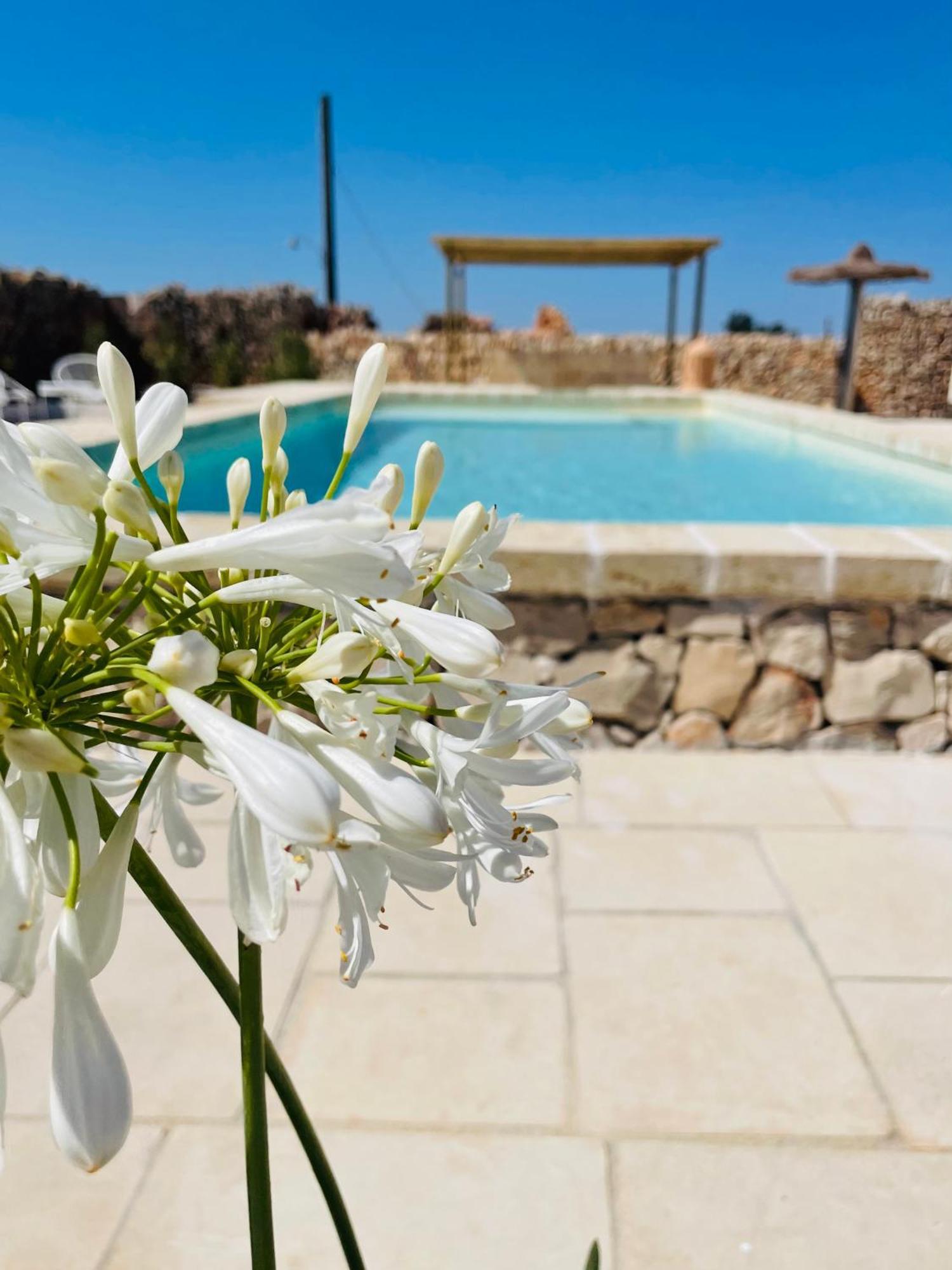 Masseria Voluzzi Копертино Екстериор снимка
