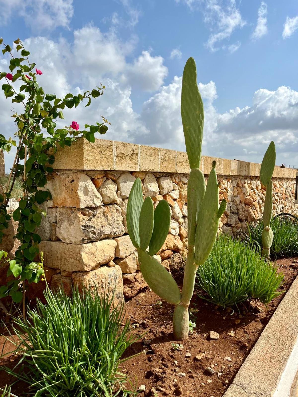 Masseria Voluzzi Копертино Екстериор снимка