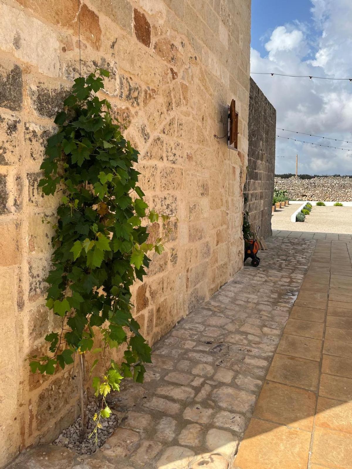 Masseria Voluzzi Копертино Екстериор снимка